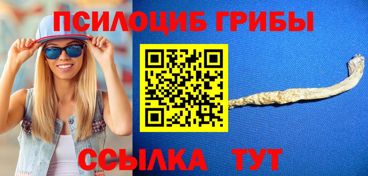 Унеча  Псилоцибиновые грибы Cubensis  Вход с VPN 