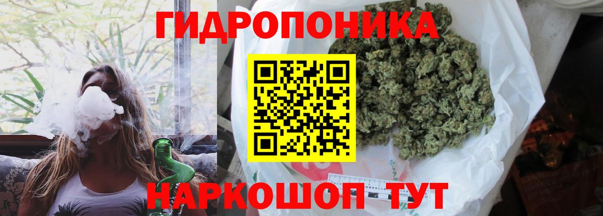 Унеча  Шишки марихуана конопля  Шишки марихуана тримм  Вход с VPN  Канабис Amnesia 